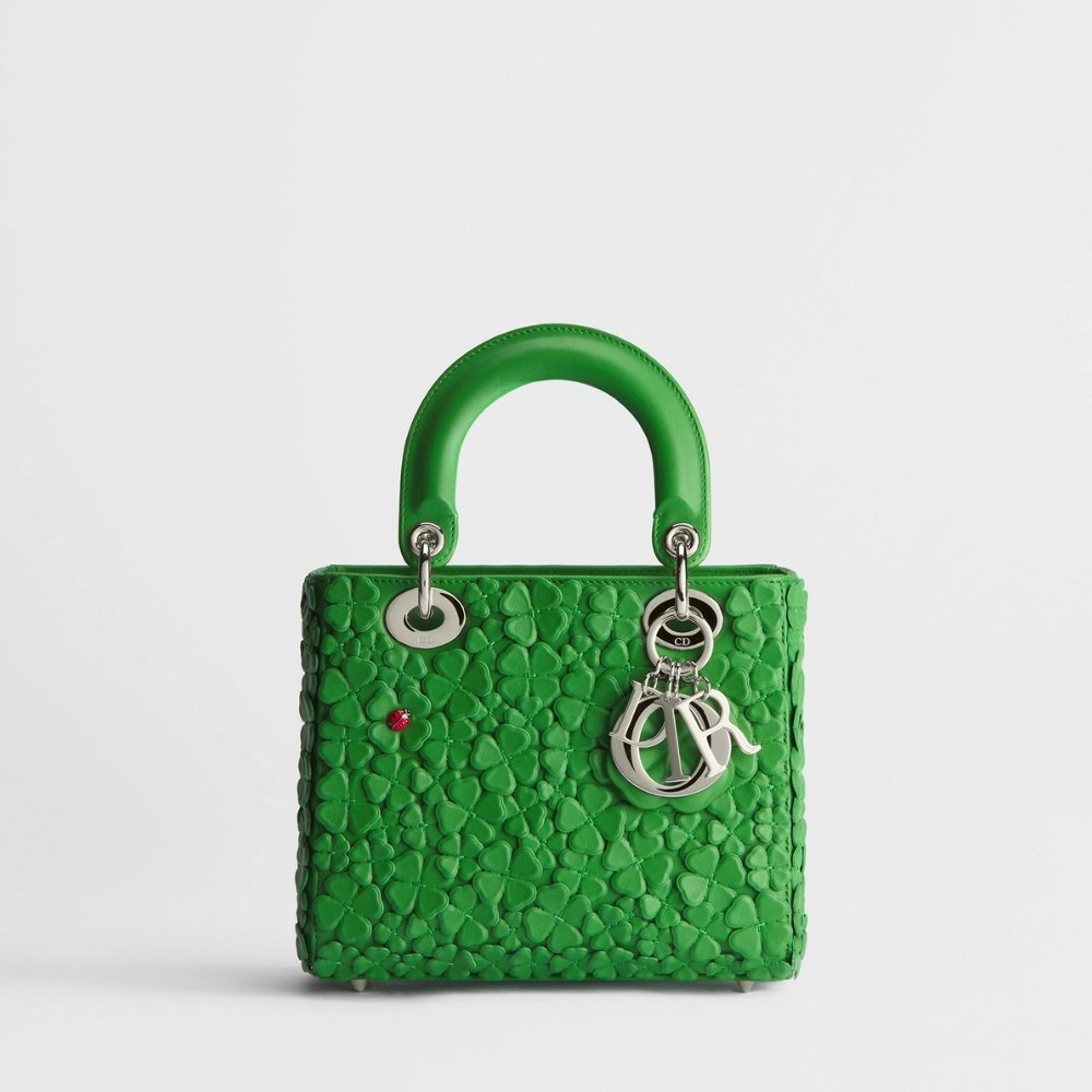 Seasonal Lady Dior Colors