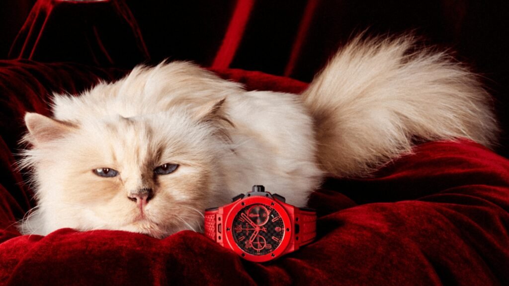 Hublot Brands