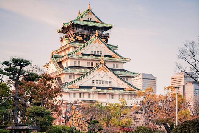 Private Osaka highlights tour with a guide and luxury vehicle
