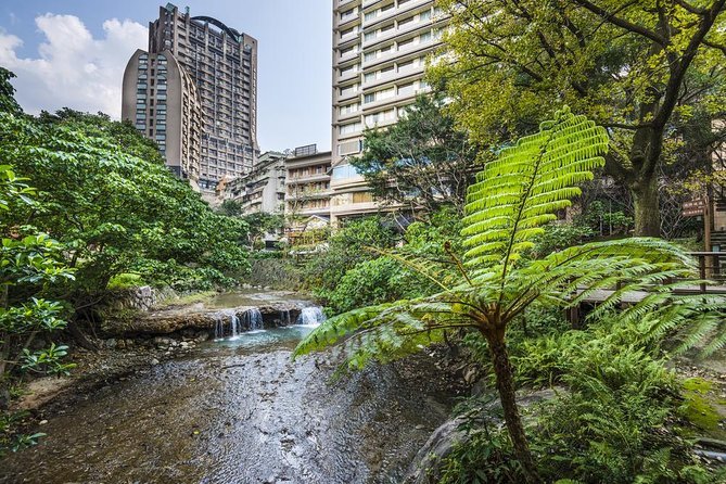 Private Beitou hot springs and National Palace Museum tour