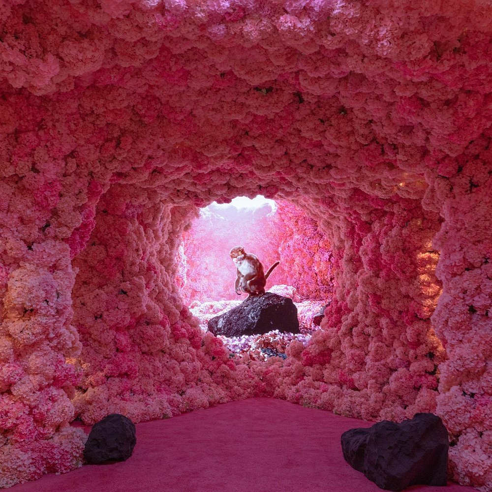 Browse New York City Art and Gallery Experiences