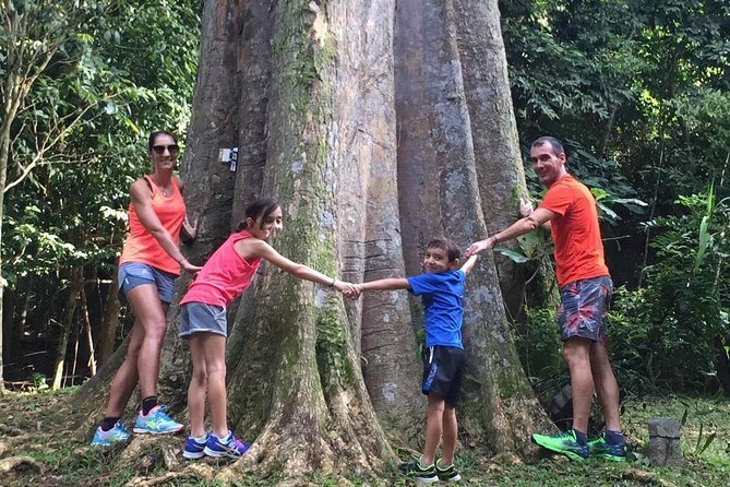 Private bicycle tour through Pulau Ubin Singapore