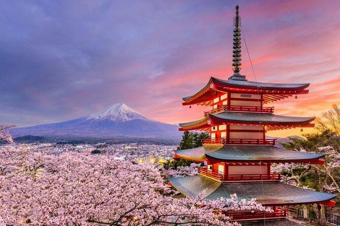 Mount Fuji Private Tour from Tokyo with English-Speaking Driver