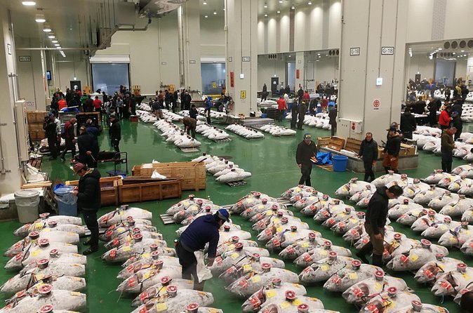 Toyosu tuna auction and market tour in Tokyo