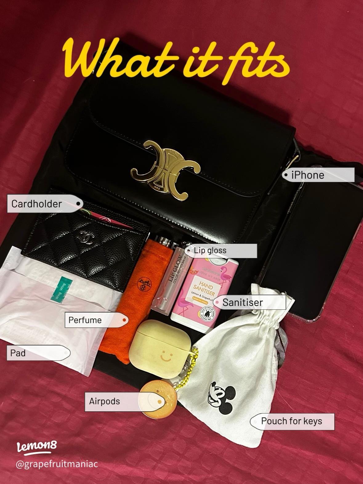 Celine Triomphe bag displayed with the daily essentials that fit inside.