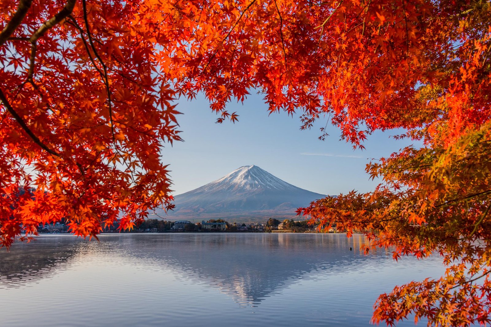 Mount Fuji framed by colourful autumn foliage