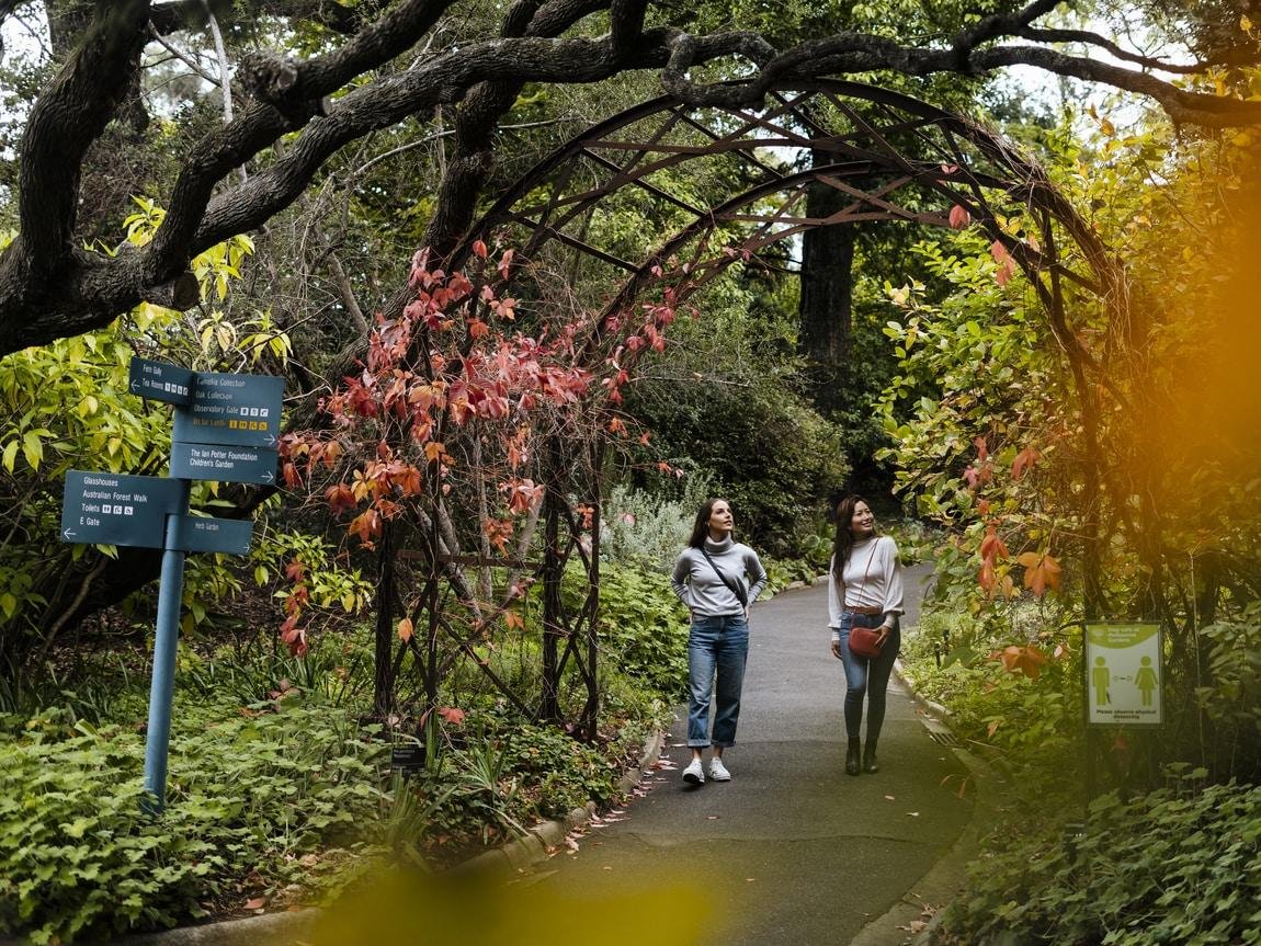 Visitors walking through a leafy entrance to Melbourne Gardens.