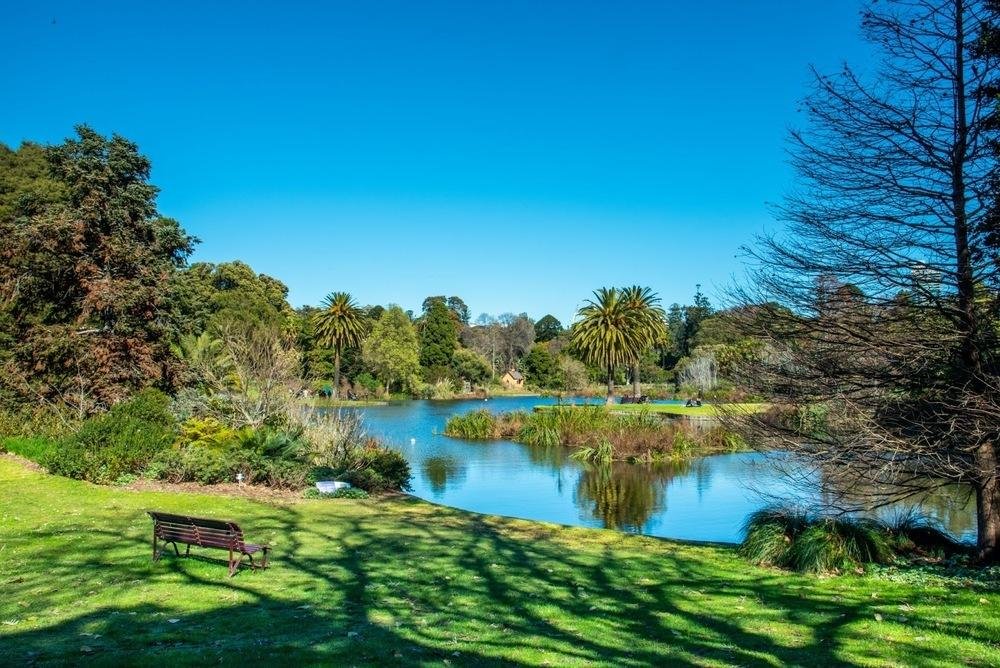 Bench beside a lake and broad lawn in Melbourne Gardens.
