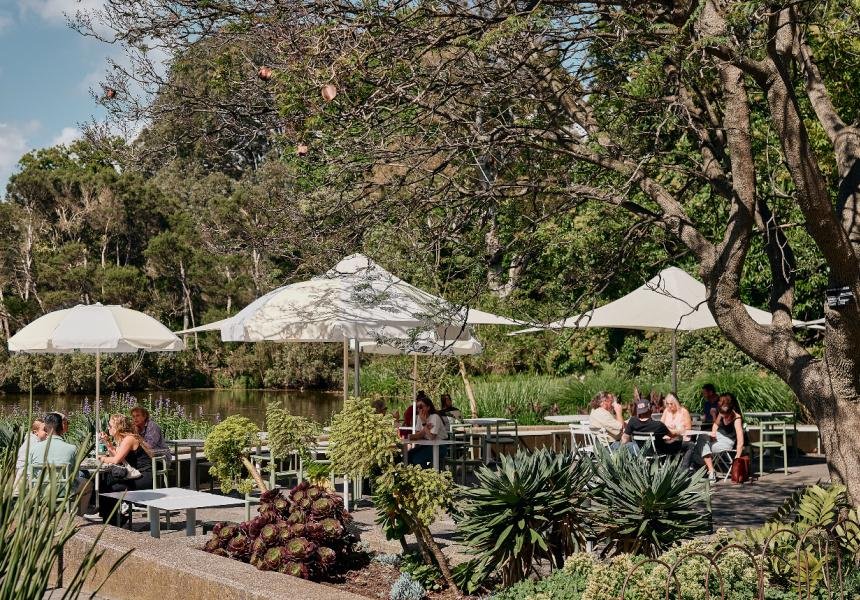 Outdoor café seating beneath trees at Melbourne Gardens.