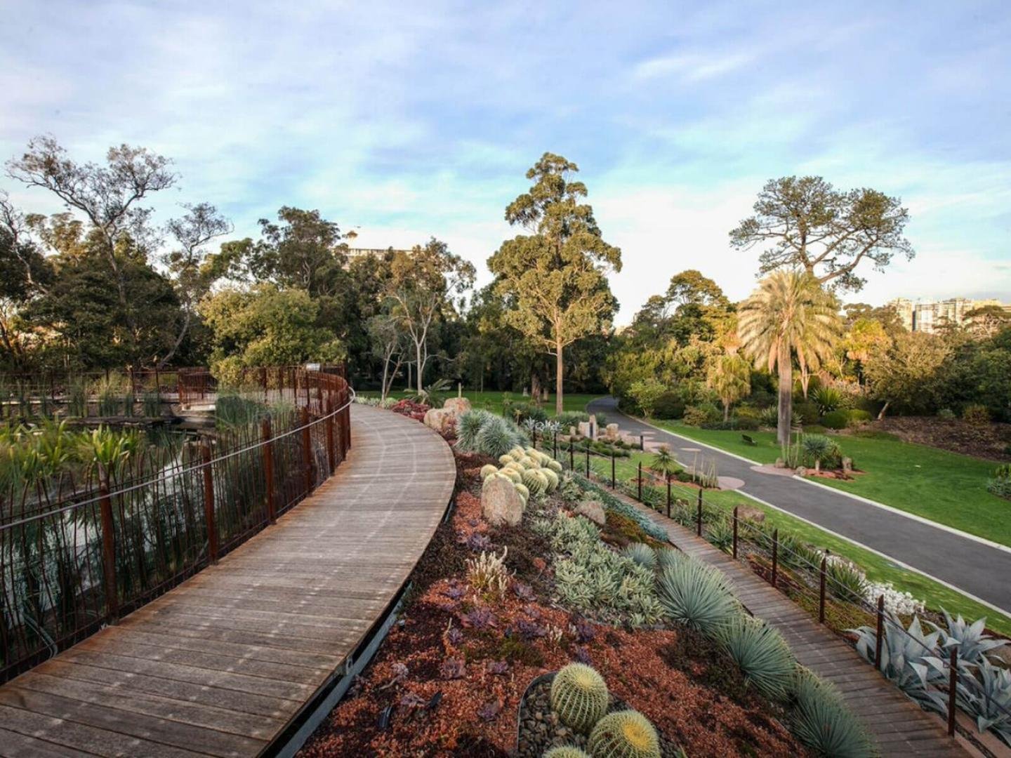 Landscaped accessible path through Melbourne Gardens.