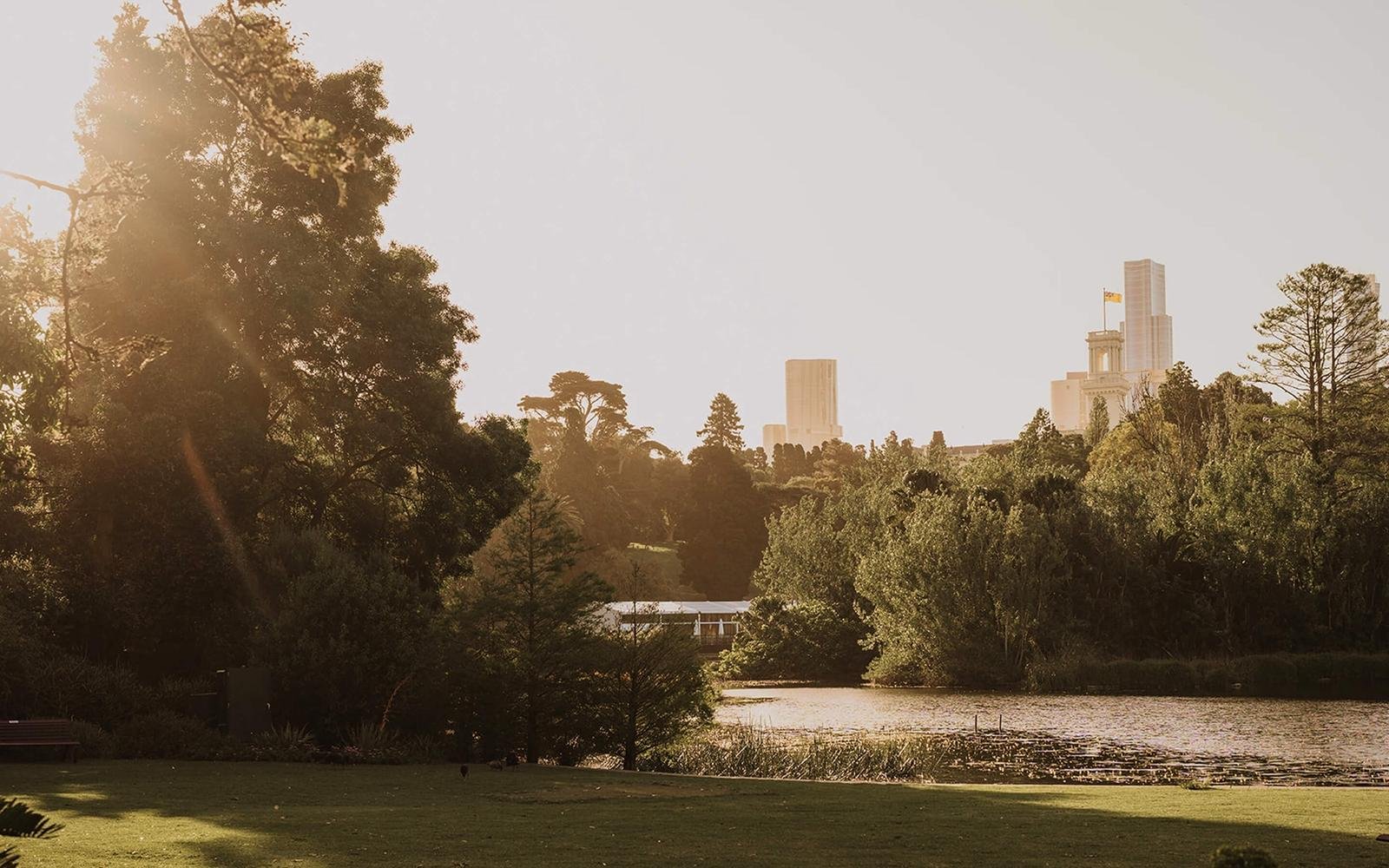 Melbourne Gardens glowing in warm late-afternoon light.