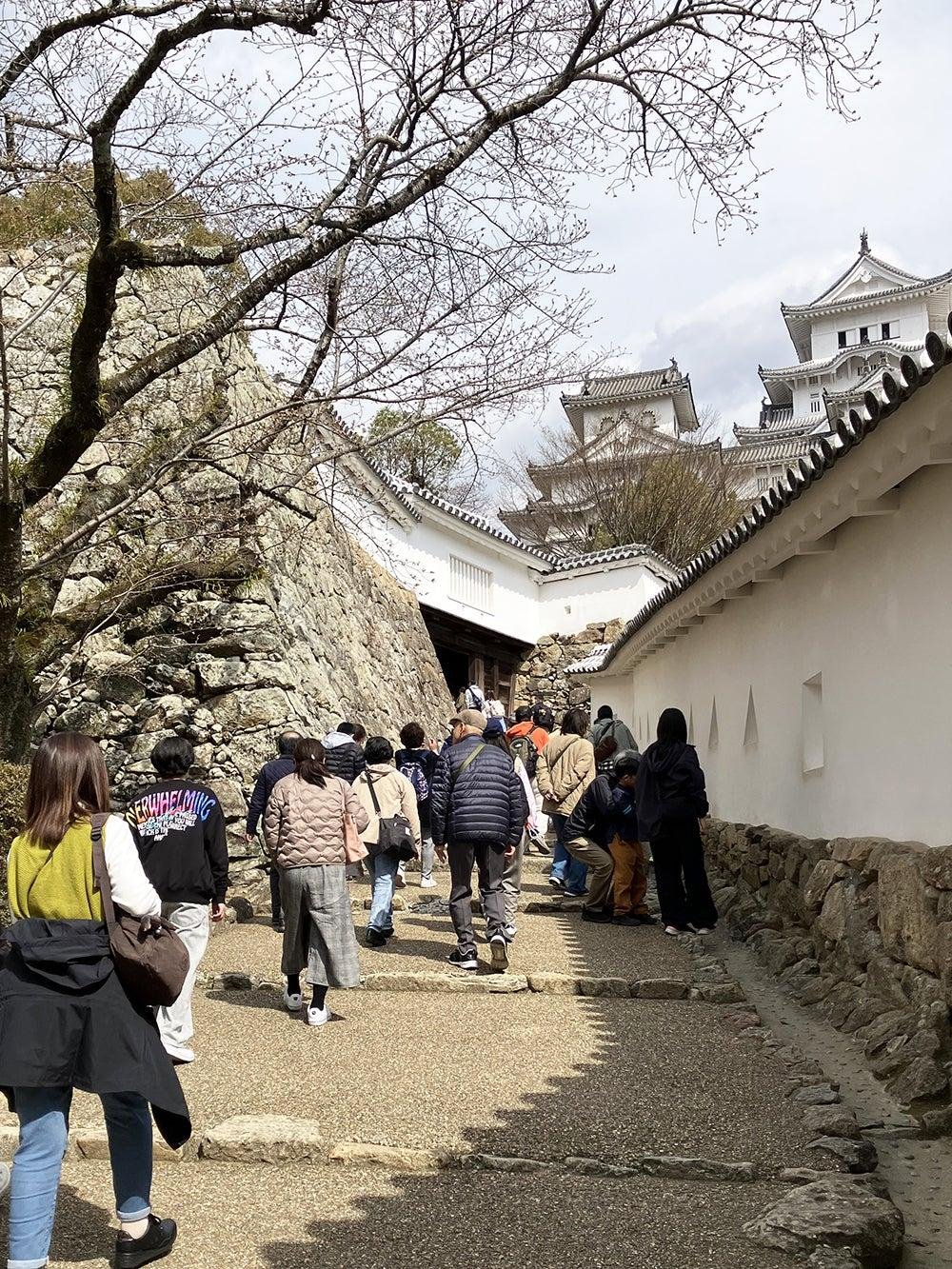 Sloped exterior grounds and historic stone paths at Himeji Castle.