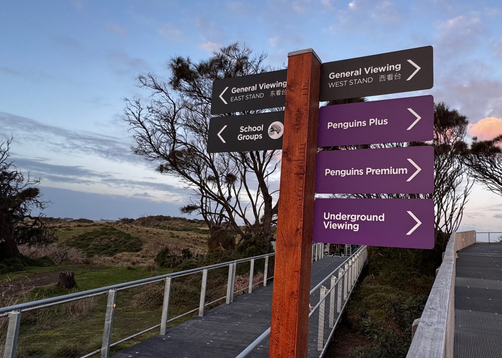 Signs directing visitors to different Penguin Parade viewing categories.