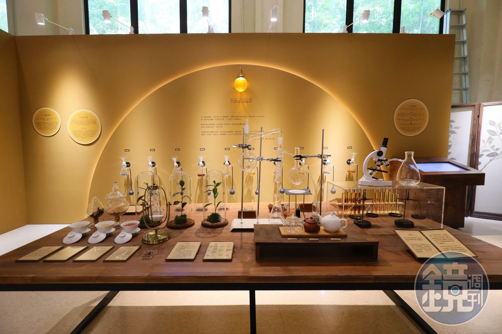 Tea objects and interpretive displays at Pinglin Tea Museum, photographed in 2023