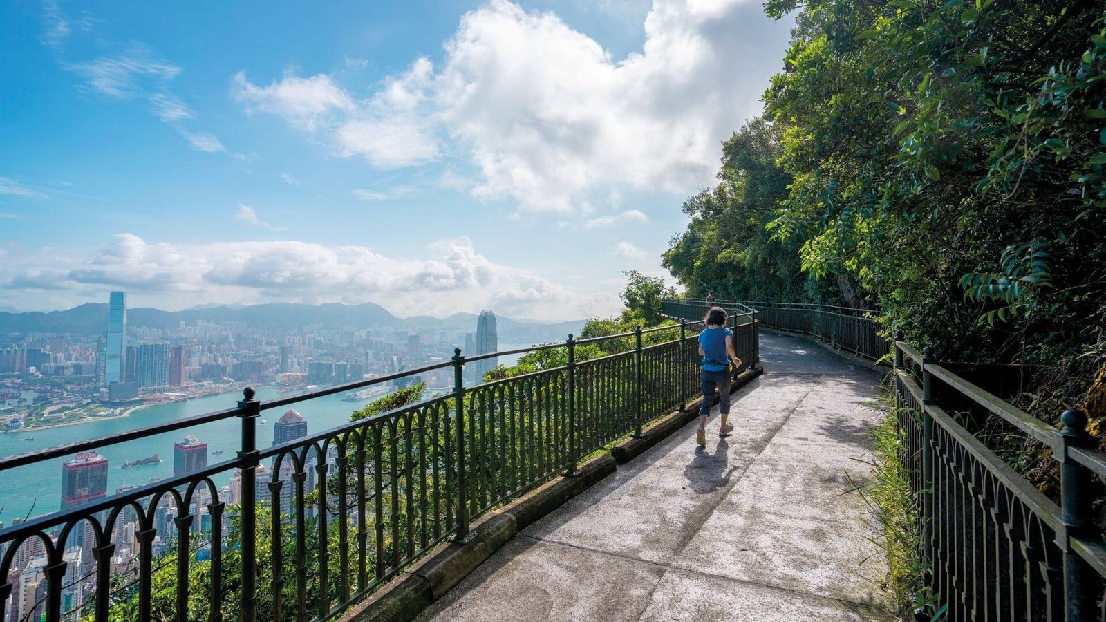 Lugard Road walkway with railings overlooking Victoria Harbour.