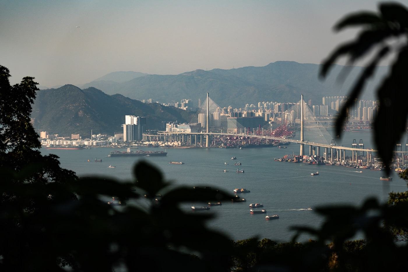 Hong Kong harbour and distant hills viewed through foliage in hazy conditions.